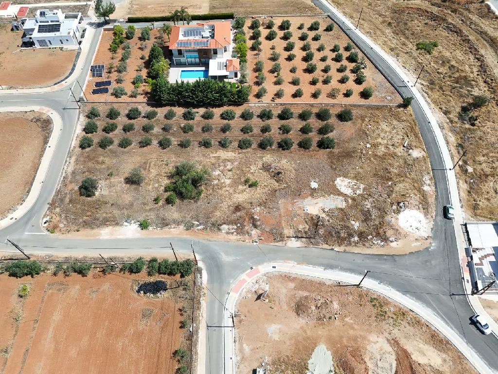 Field – Pano Deftera, Nicosia