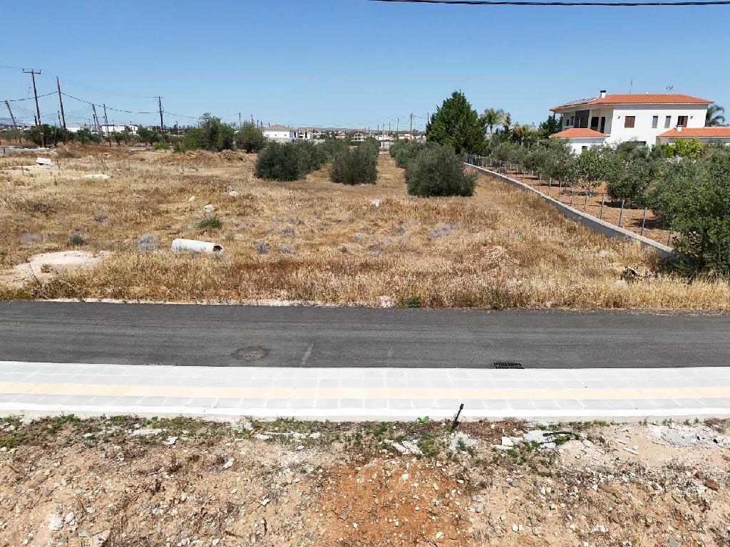 Field-Pano Deftera-PR42354