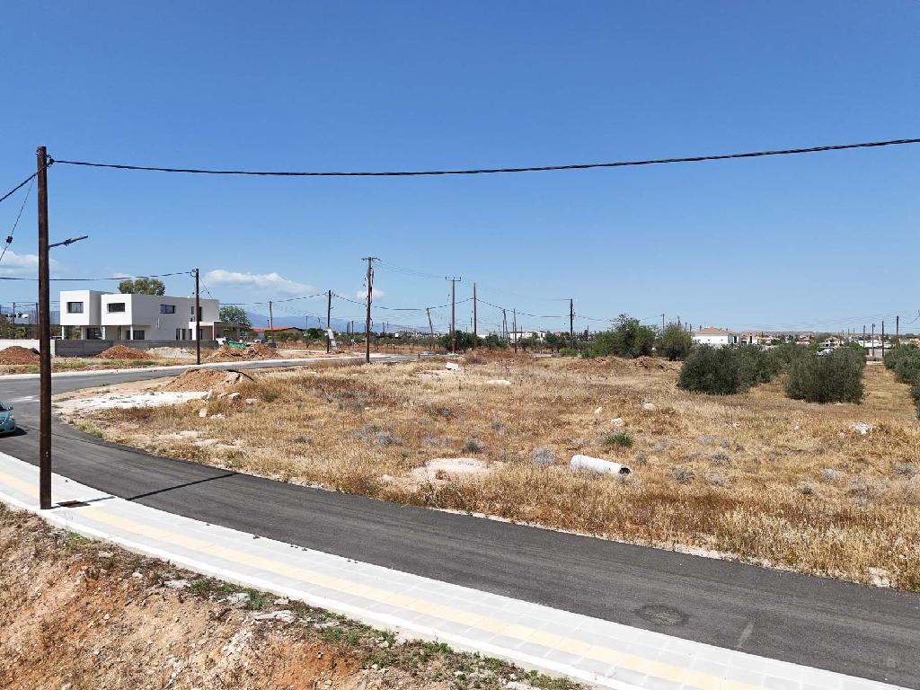 Field-Pano Deftera-PR42354