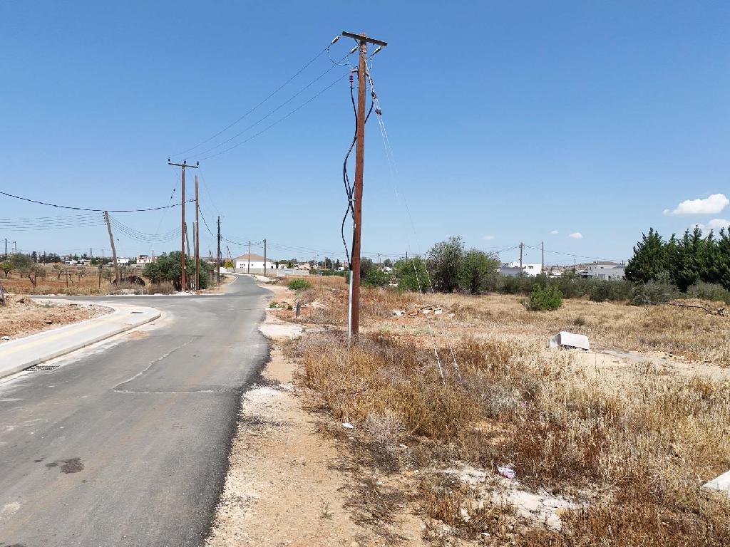 Field-Pano Deftera-PR42354