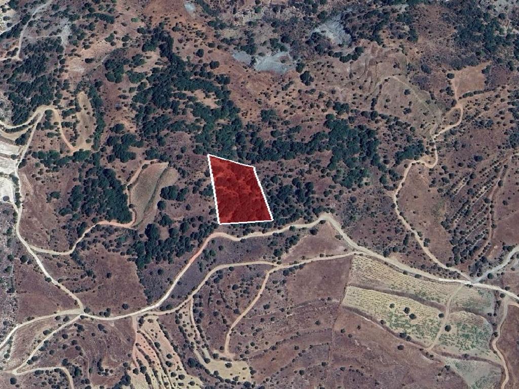 Field-Statos - Agios Fotios-PR42345