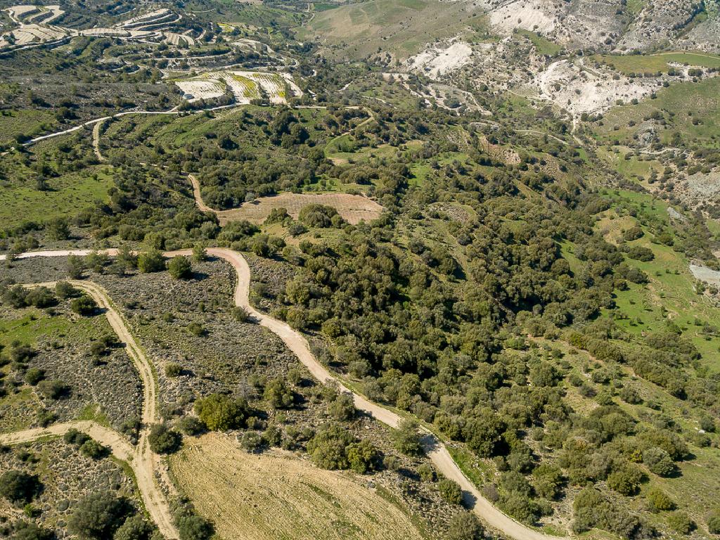 Field-Statos - Agios Fotios-PR42345