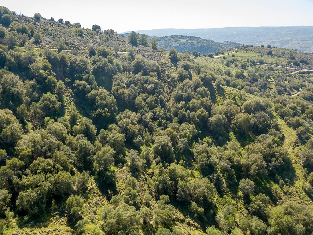 Field-Statos - Agios Fotios-PR42345