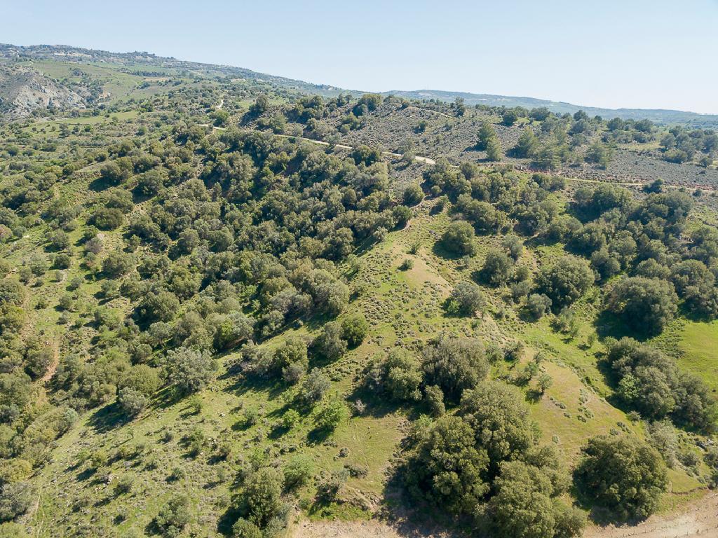 Field-Statos - Agios Fotios-PR42345