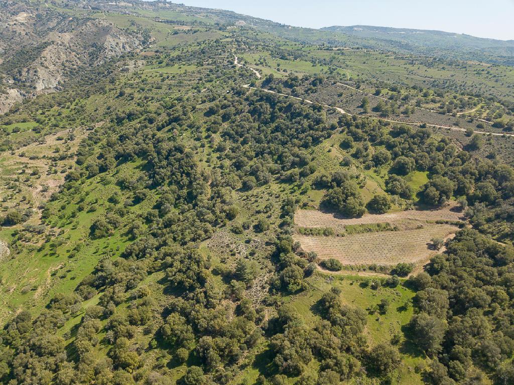 Field-Statos - Agios Fotios-PR42345