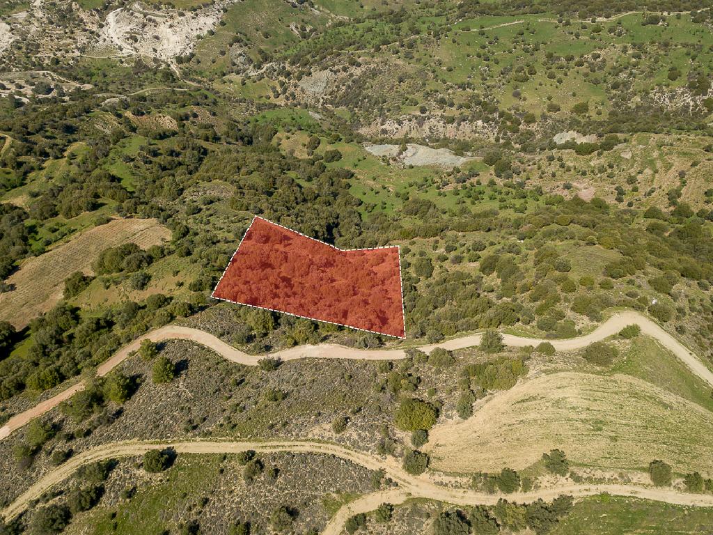 Field-Statos - Agios Fotios-PR42345