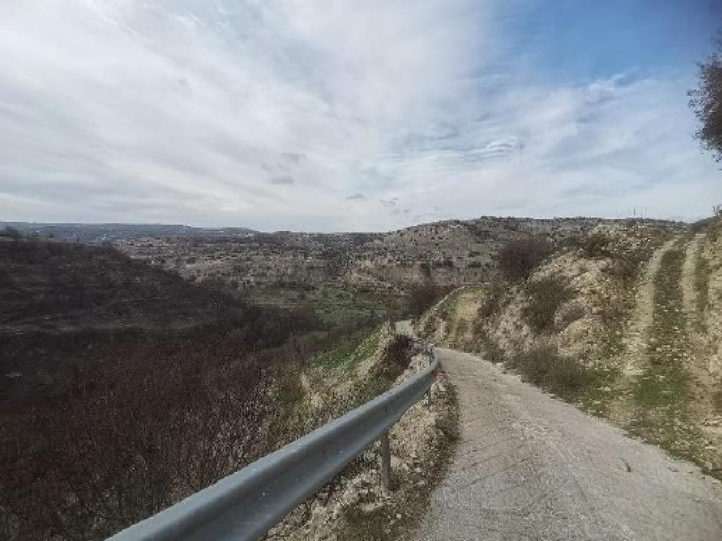 Field-Choulou-CP10139
