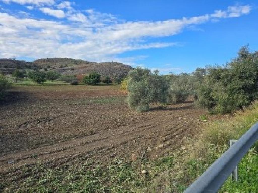 Χωράφι-Τρούλλοι-PR43067