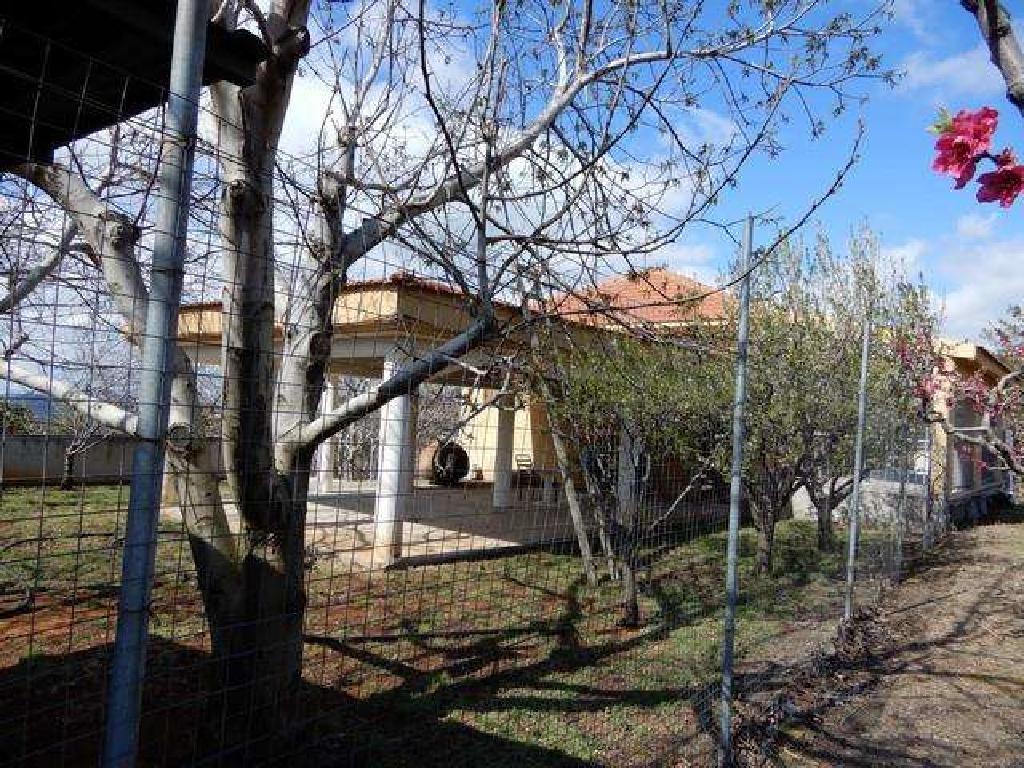 House - Kato Mylos, Limassol