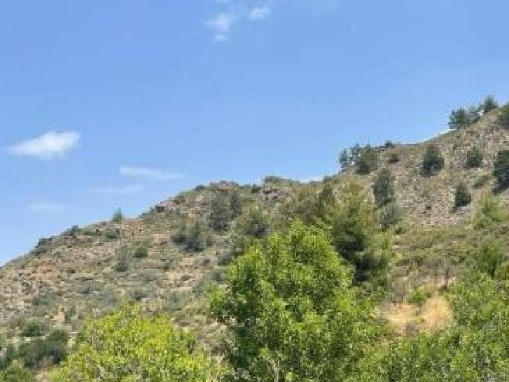 Field-Platanistasa-PR44717