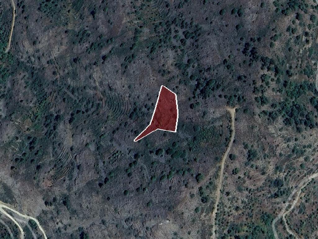 Field-Platanistasa-PR44717