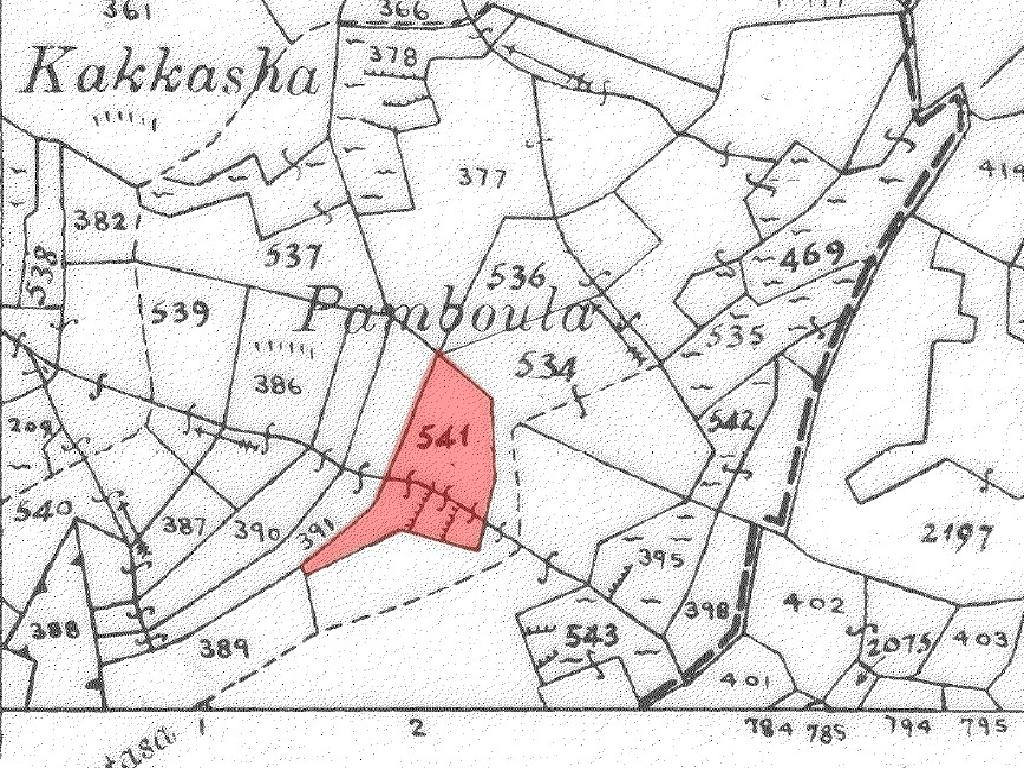 Field-Platanistasa-PR44717