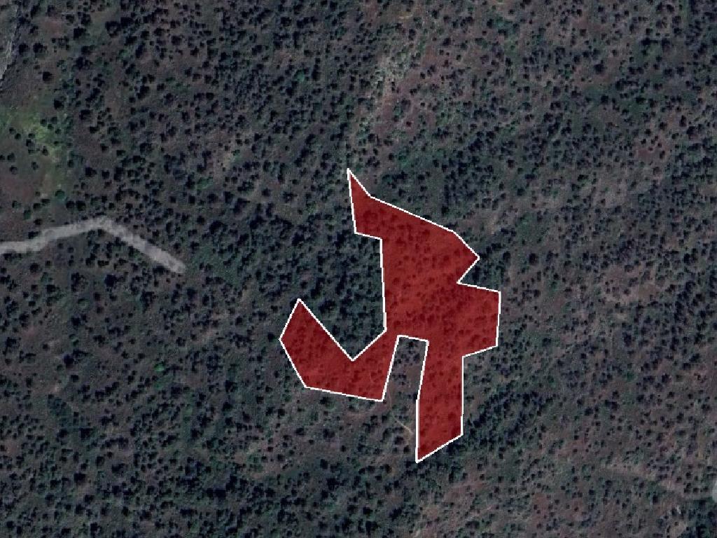 Field-Politiko-PR11770