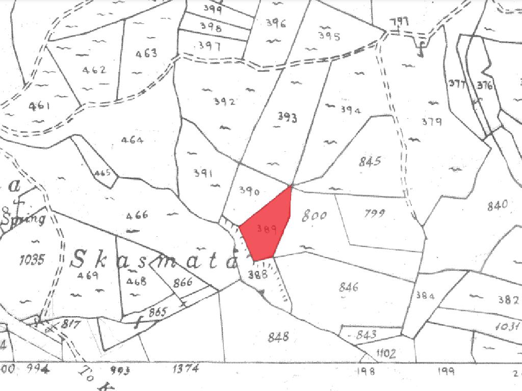 Field-Koilani-PR15269