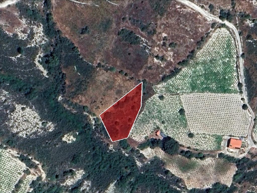 Field-Koilani-PR15269