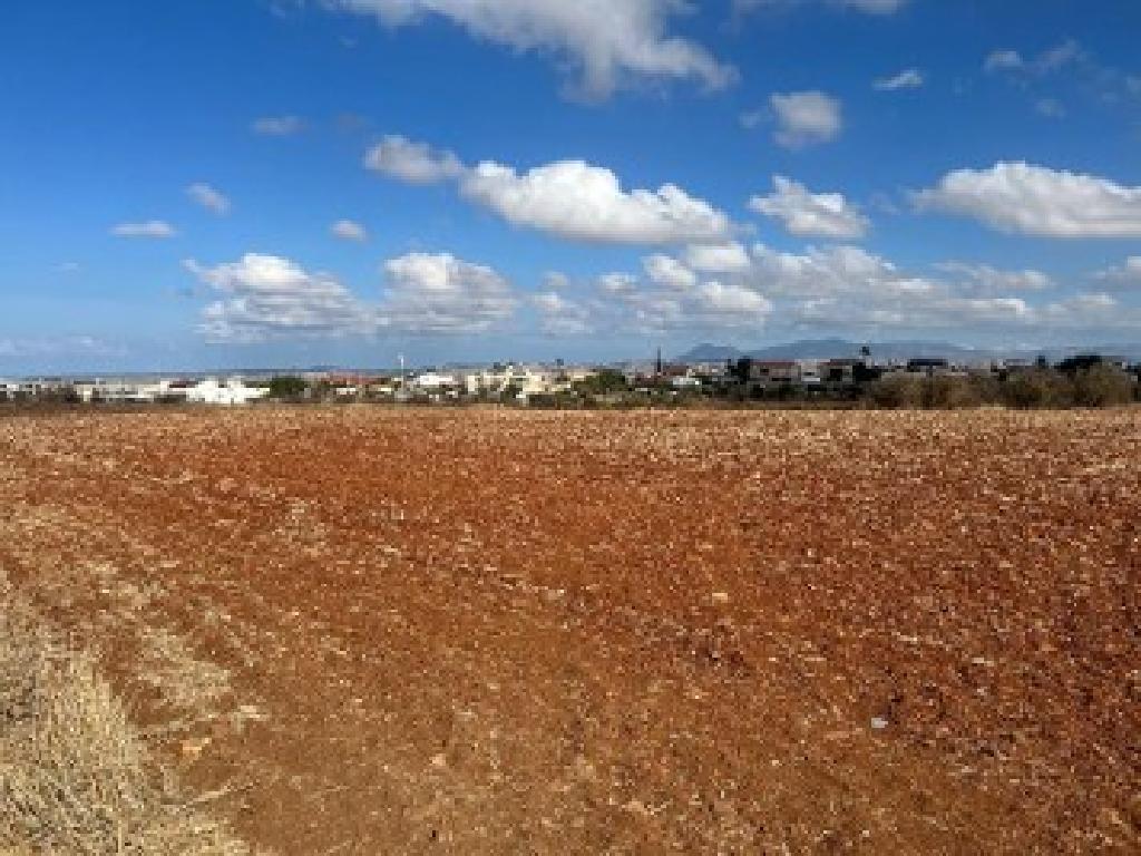 Field - Astromeritis, Nicosia