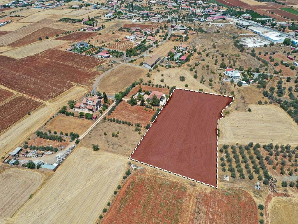 Field - Astromeritis, Nicosia