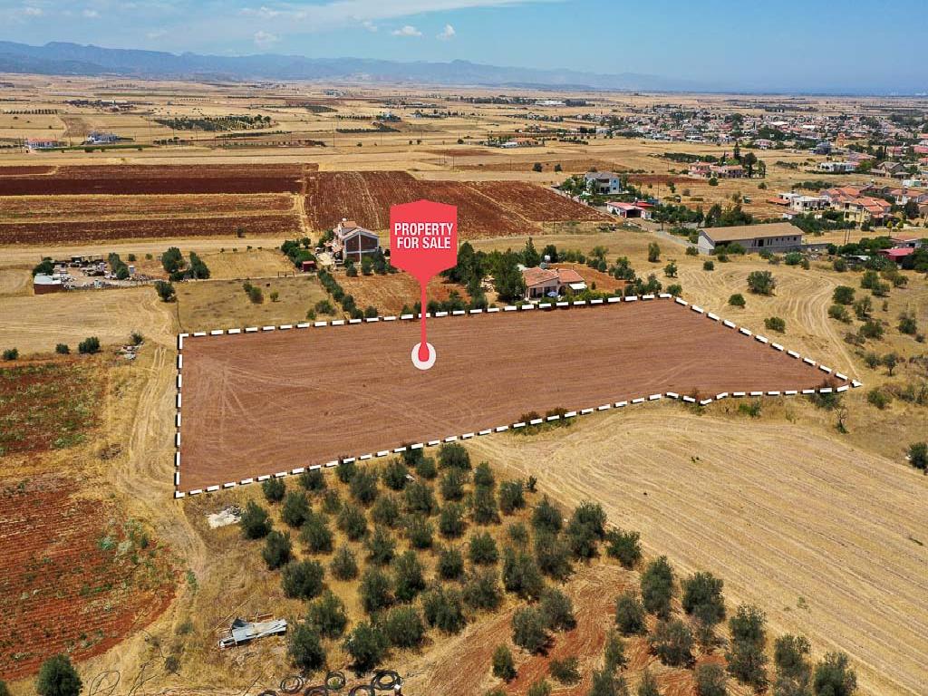 Field - Astromeritis, Nicosia