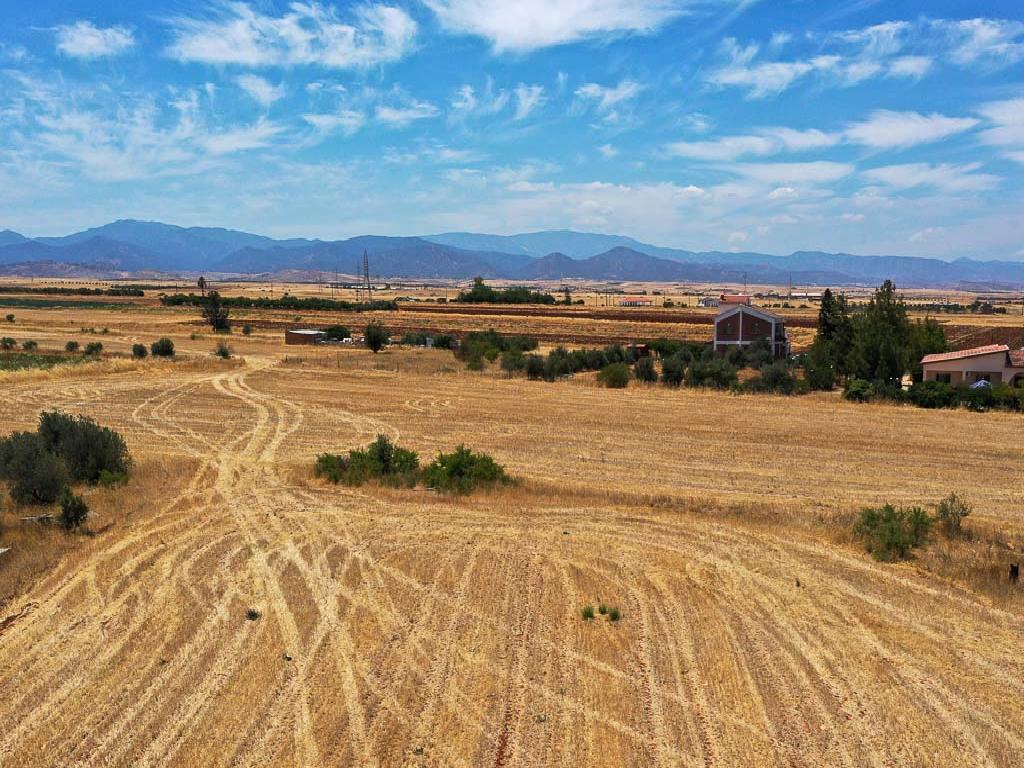 Field - Astromeritis, Nicosia