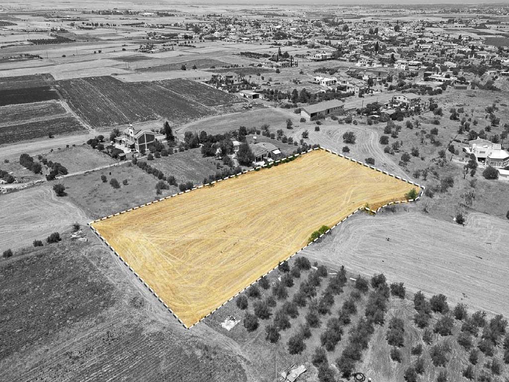 Field - Astromeritis, Nicosia