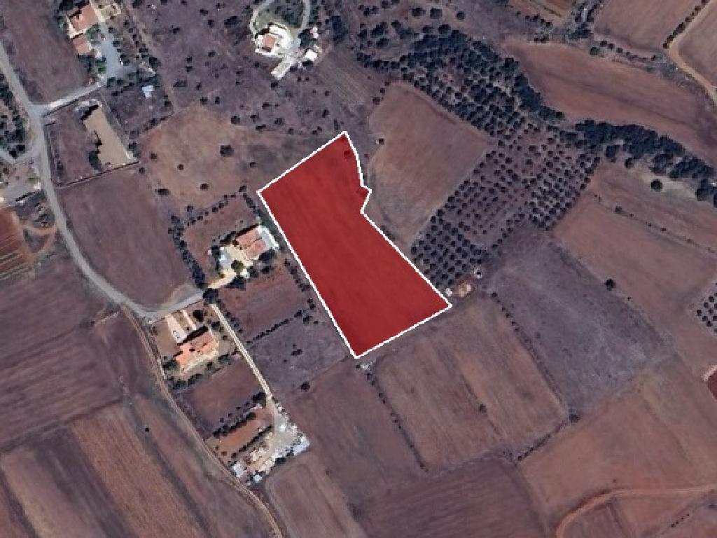 Field - Astromeritis, Nicosia
