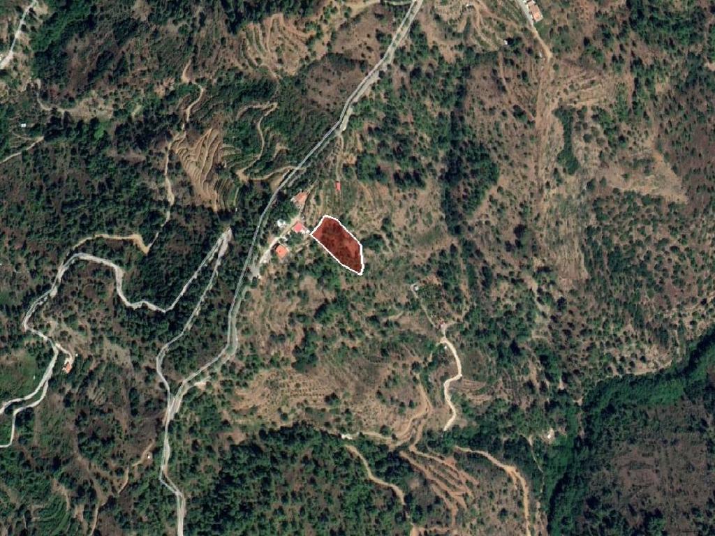 Field-Gerakies-PR33869