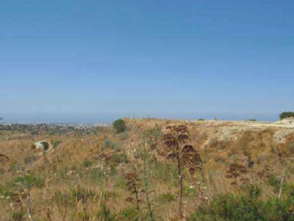 Field - Armou, Paphos