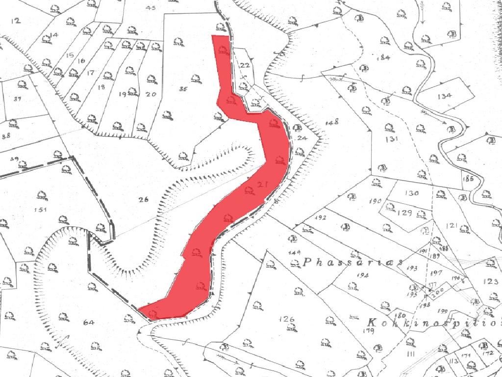 Field-Souni-Zanakia-PR34742