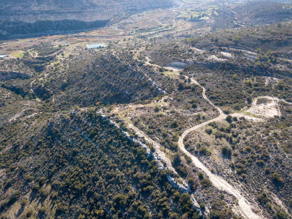 Field-Souni-Zanakia-PR34742