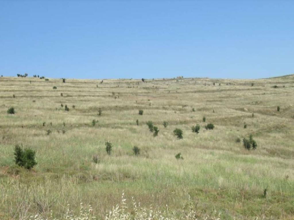 Field - Agia Marina Kelokedaron, Paphos