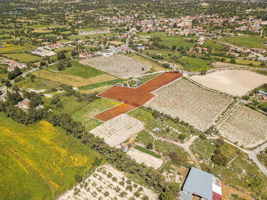 Field-Anogira-PR38207