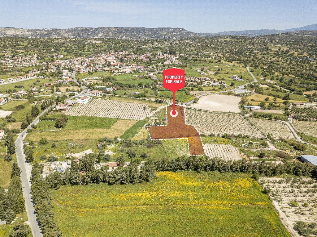Field-Anogira-PR38207