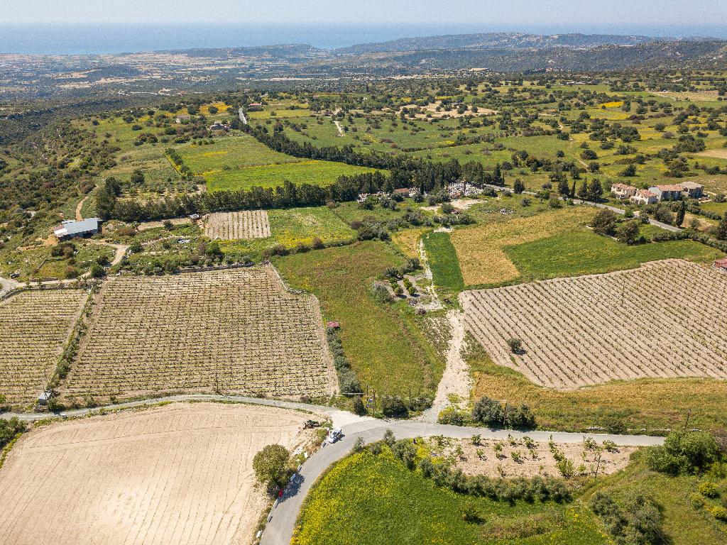 Field-Anogira-PR38207