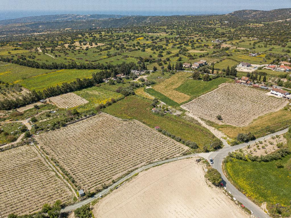 Field-Anogira-PR38207