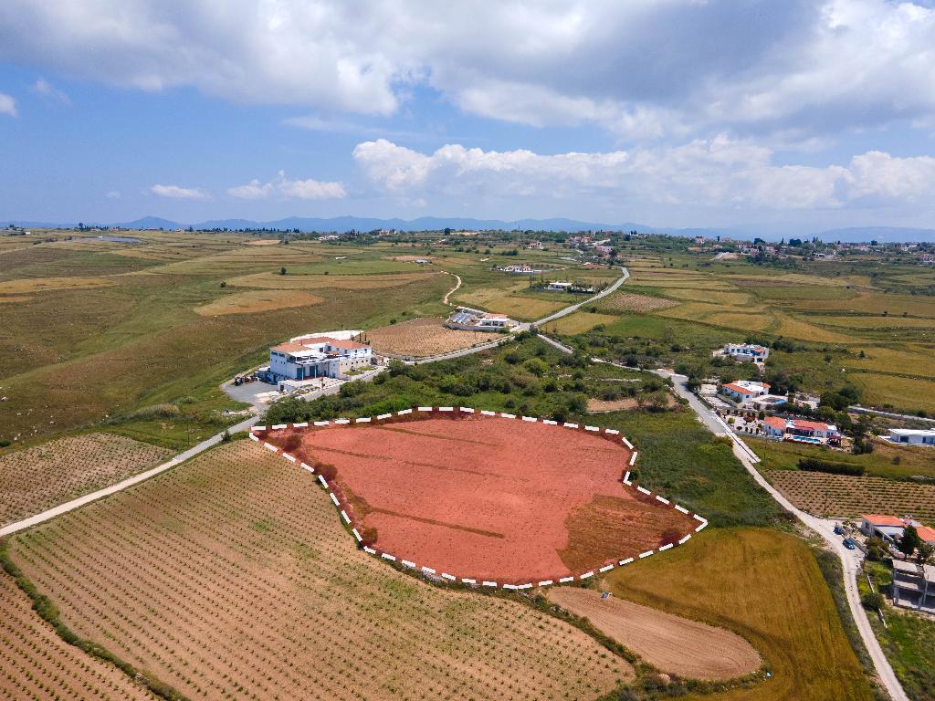 Field - Kathikas, Paphos