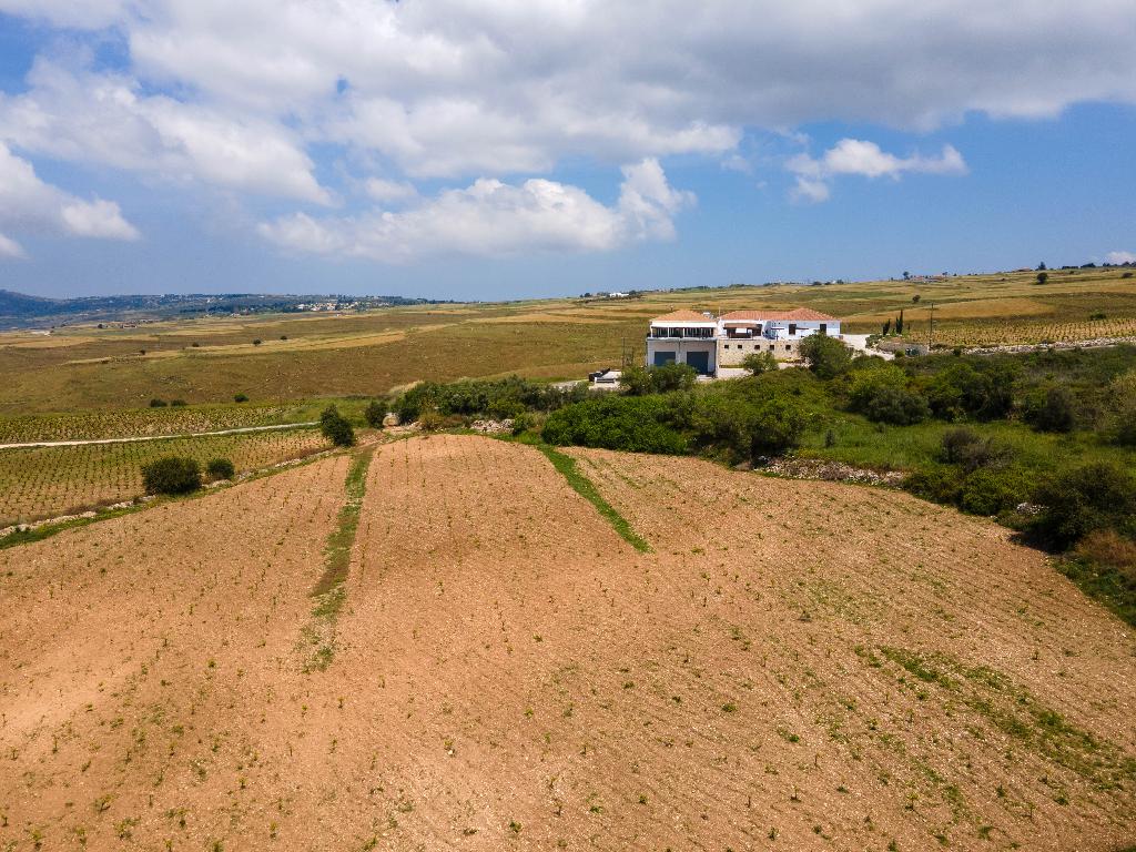 Field - Kathikas, Paphos
