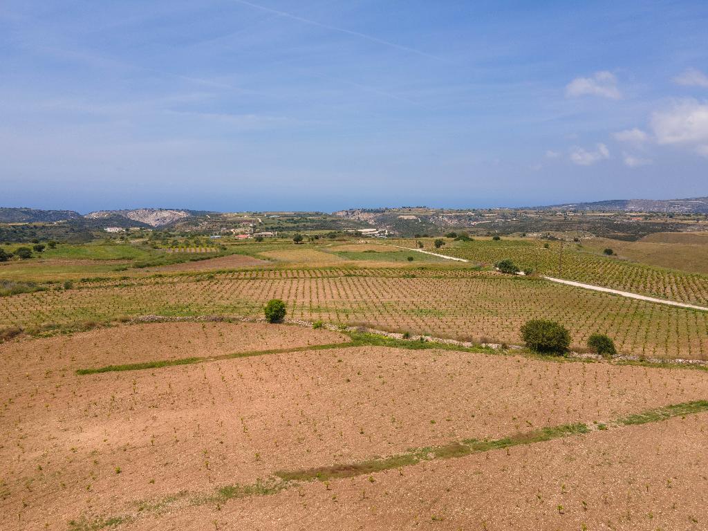 Field - Kathikas, Paphos