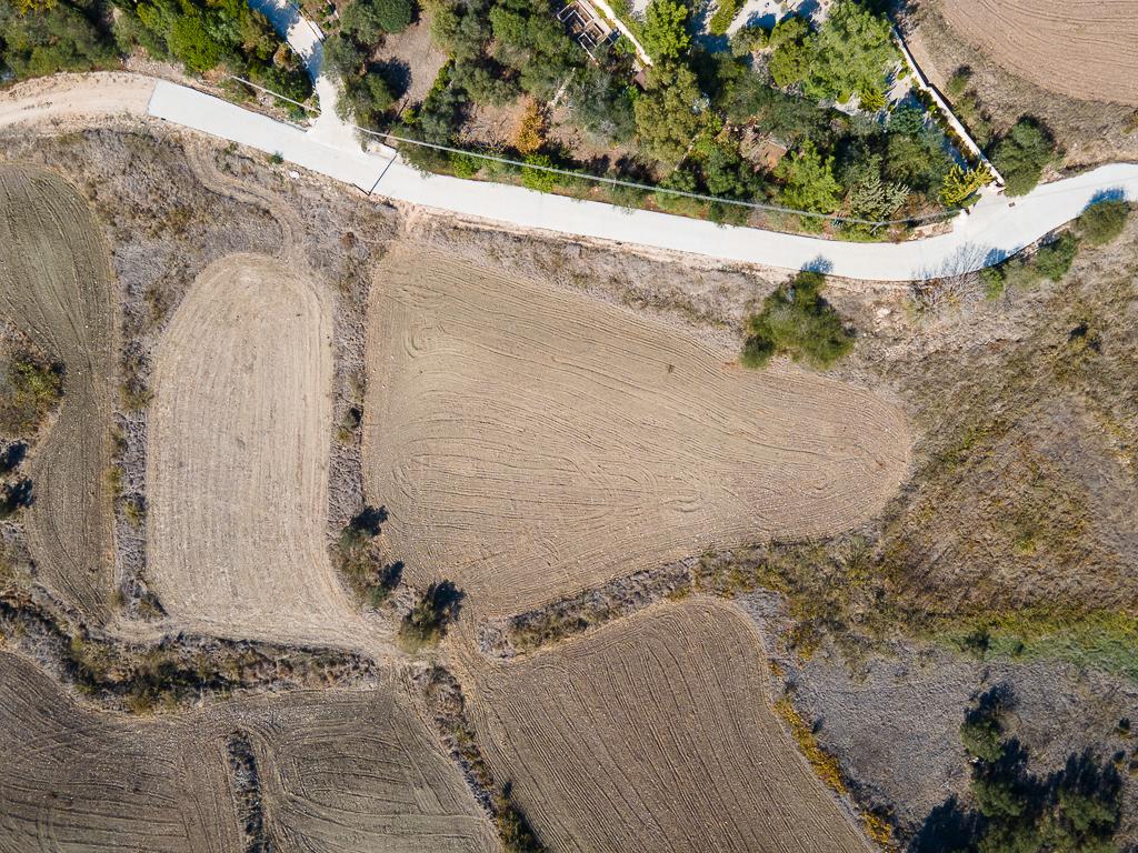 Field-Pano Arodes-PR38857