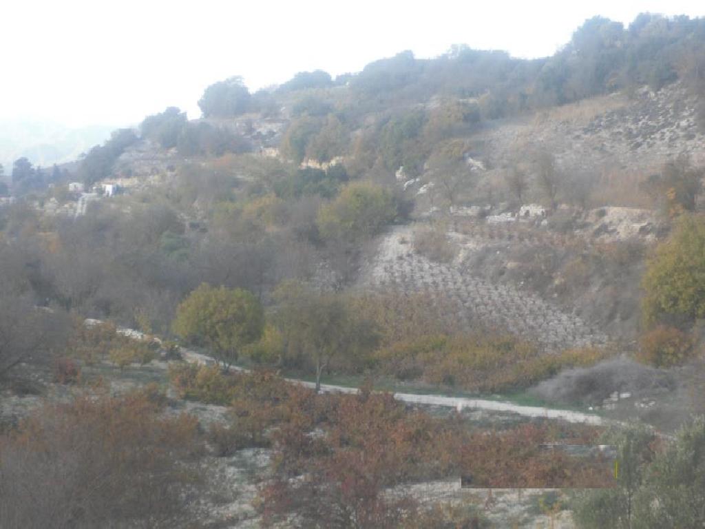Field-Statos - Agios Fotios-PR39158
