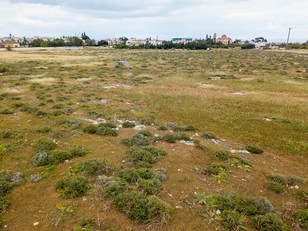 Field-Paralimni-PR39829