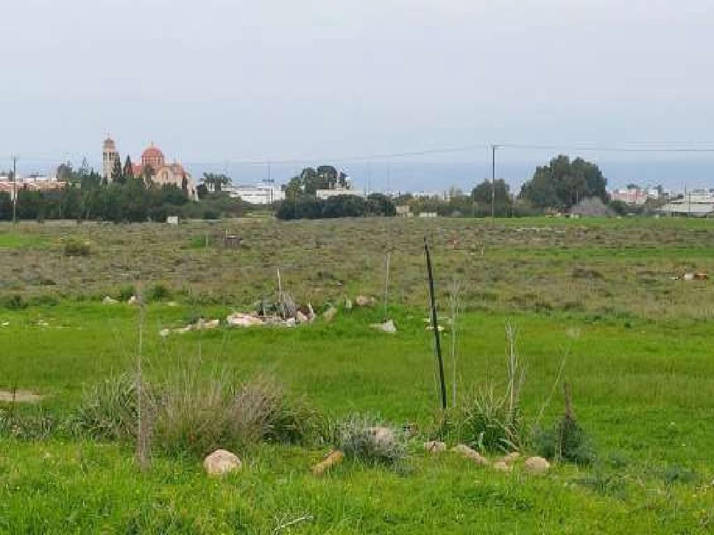 Field-Paralimni-PR39829