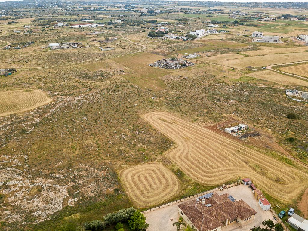 Field-Paralimni-PR39829