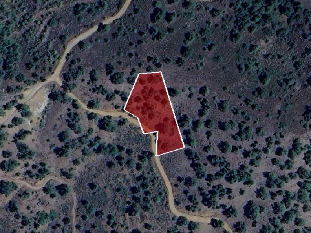Field-Fterikoudi-PR40002