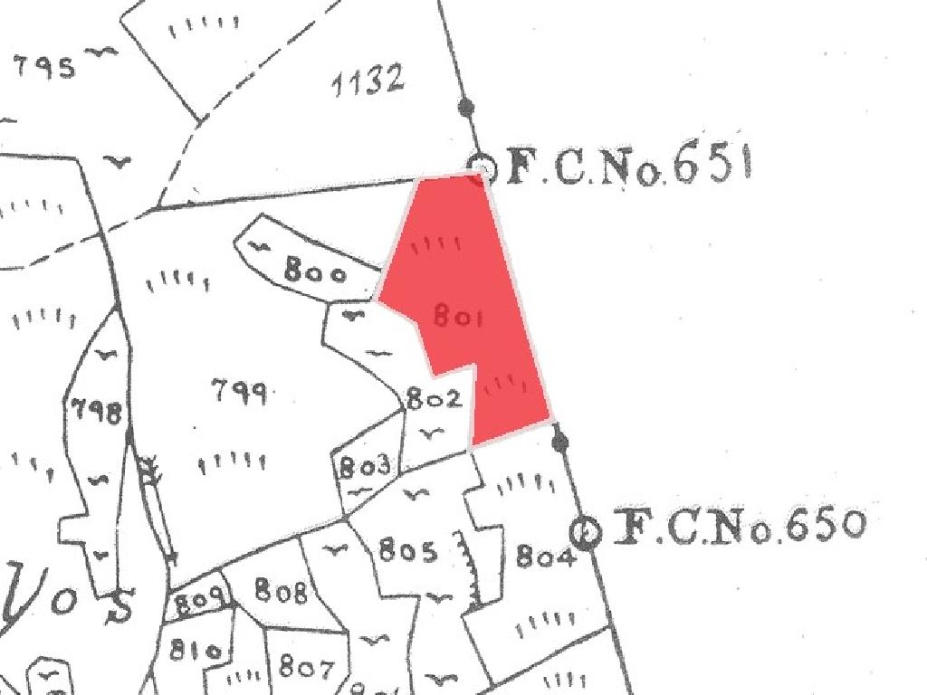 Field-Fterikoudi-PR40002