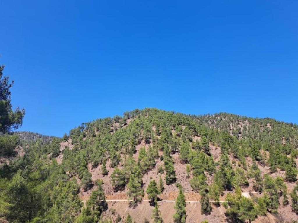 Field-Fterikoudi-PR40002