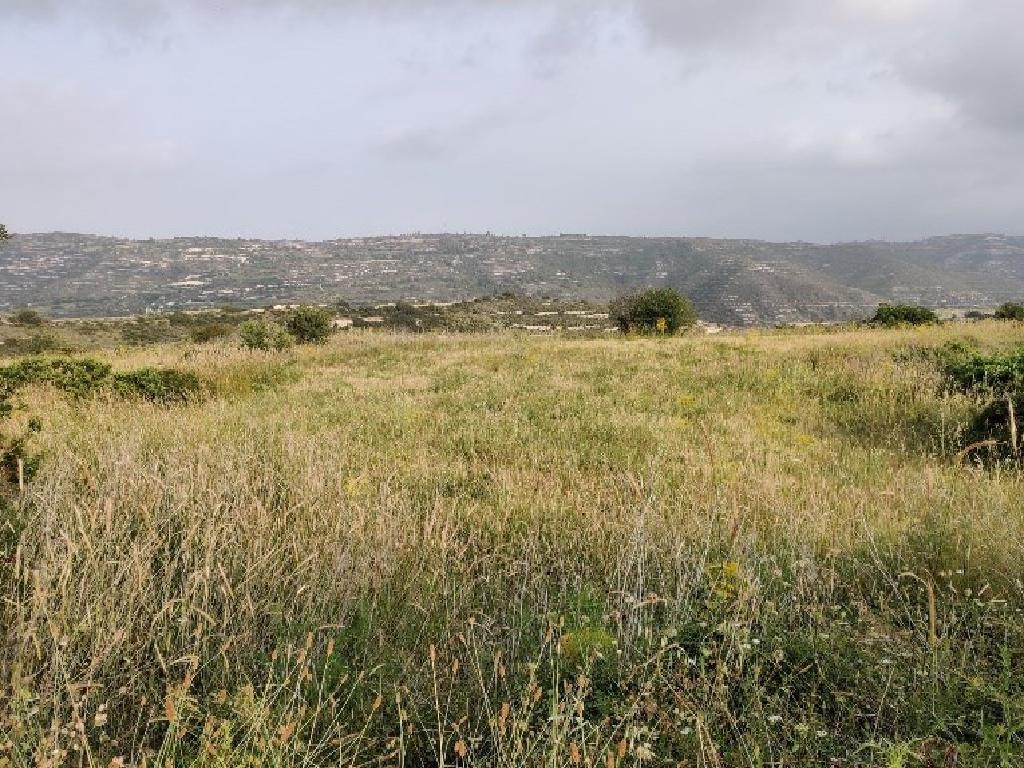 Field-Vouni-PR40554