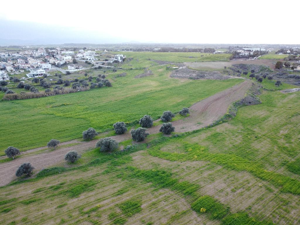Field-Lakatameia-PR40599