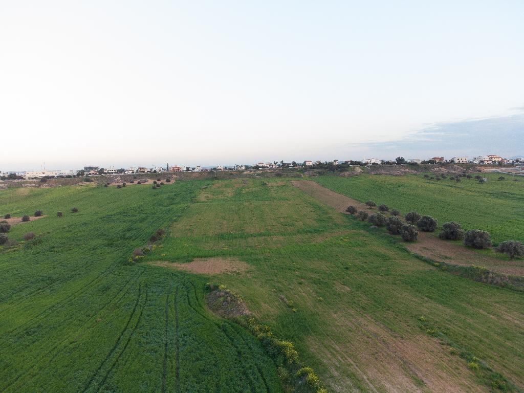 Field-Lakatameia-PR40599