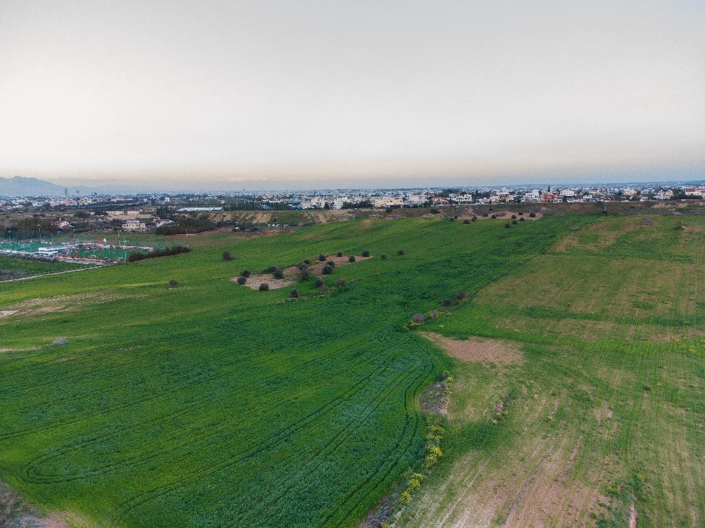 Field-Lakatameia-PR40599