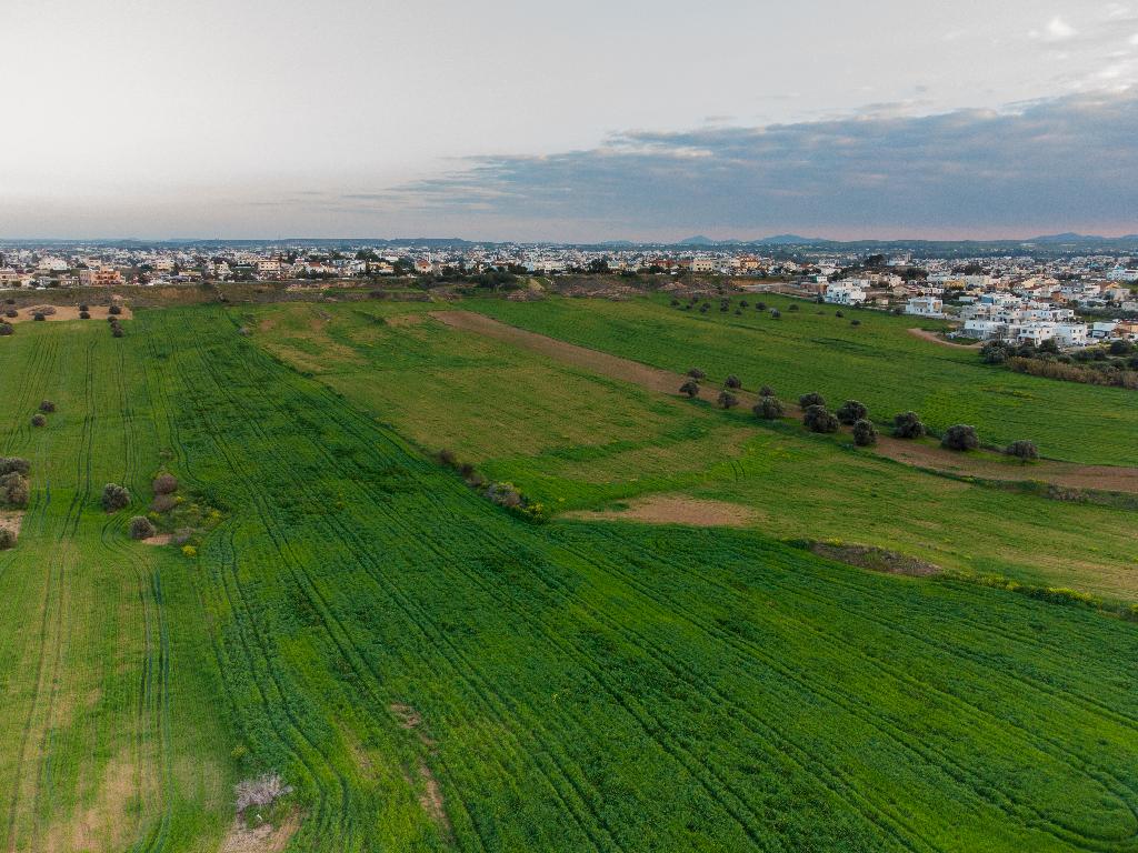 Field-Lakatameia-PR40599